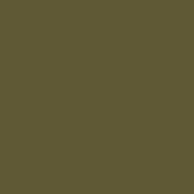 USAAF Olive Drab
